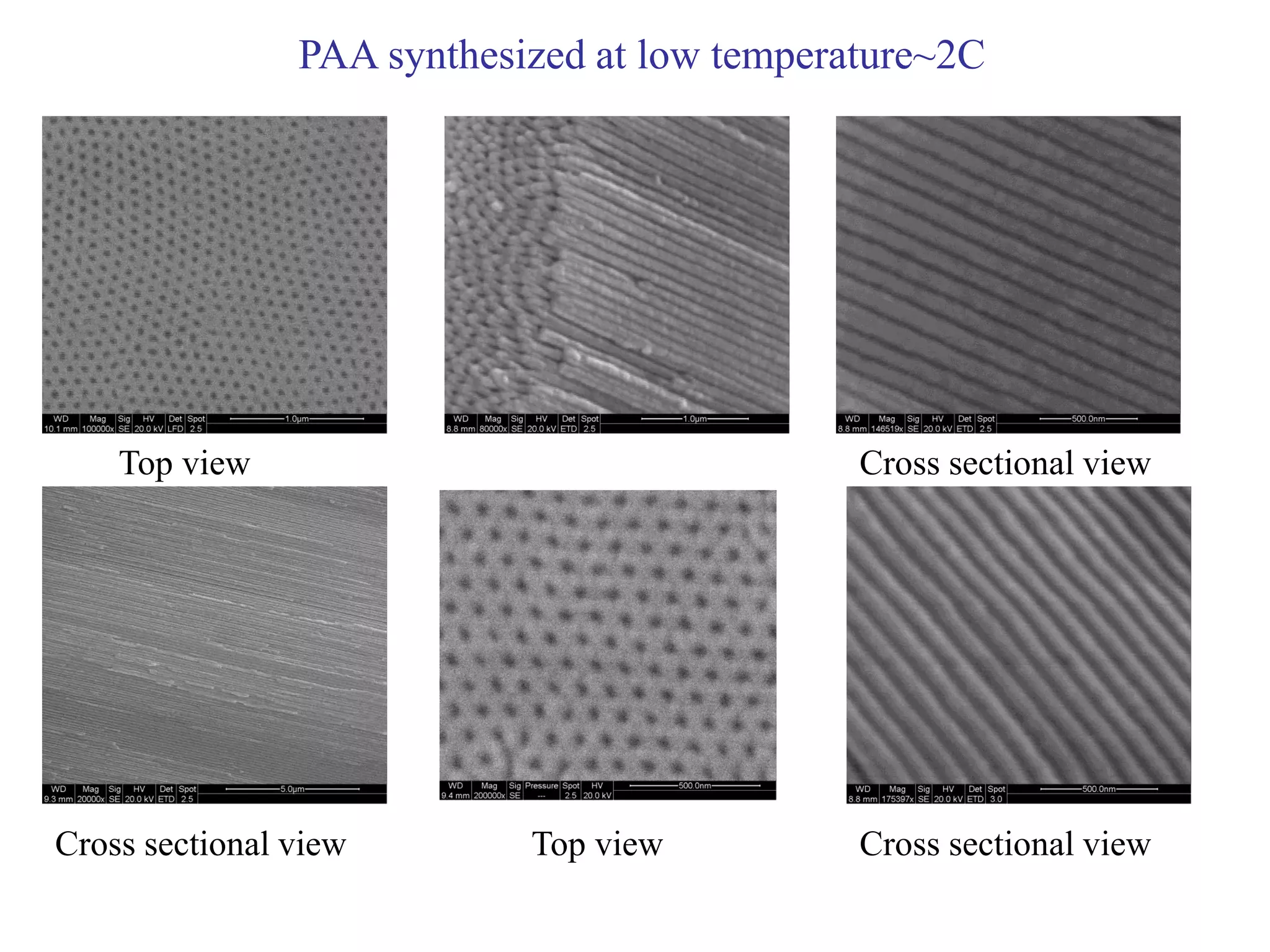 PAA synthesized at low temperature~2C
Cross sectional view
Cross sectional viewCross sectional view Top view
Top view
 