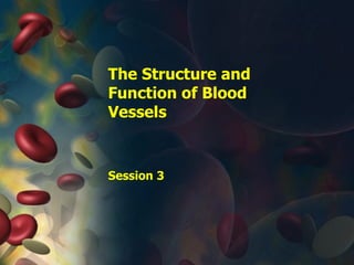 The Structure and Function of Blood Vessels Session 3 