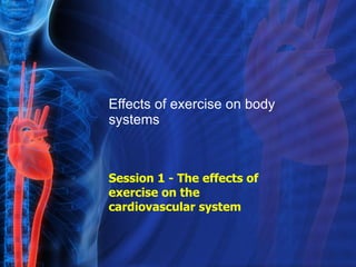 Effects of exercise on body systems Session 1 - The effects of exercise on the cardiovascular system   