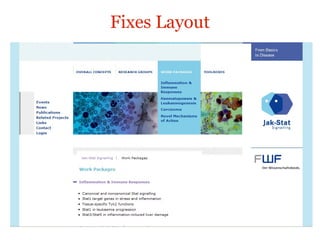 Fixes Layout jak-stat.at 