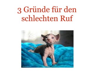 3 Gründe für den schlechten Ruf Katze ohne Fell 