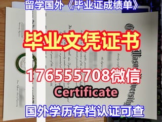 Usf Pdf USF毕业证 | PDF