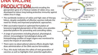 DNA VACCINE
PRODUCTION
• A DNA vaccine, using a pCl-neo plasmid encoding the
glycoprotein gene of a Mexican isolate of rabies virus, was
developed to induce long-lasting protective immunity against
rabies virus in dogs.
• The worldwide incidence of rabies and high rates of therapy
failure, despite availability of effective vaccines indicate the
need for timely and improved prophylactic approaches.
• DNA vaccination based on optimized formulation of
lysosome-targeted glycoprotein of the rabies virus provides
potential platform for preventing and controlling rabies.
• A range of parameters including physical, physiological,
clinical, immunological, hematological along with
histopathology profiles of target organs was monitored to
assess the impact of vaccination.
• There were no observational adverse effects despite high
dose administration of the DNA vaccine formulation.
• Thus, this study indicates the safety of next generation of
vaccines as well as highlights their potential application.
 