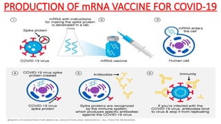 PRODUCTION OF mRNA VACCINE FOR COVID-19
 
