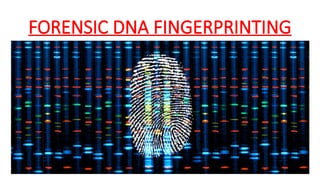 FORENSIC DNA FINGERPRINTING
 