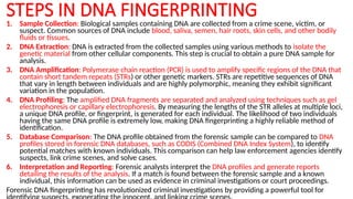 STEPS IN DNA FINGERPRINTING
1. Sample Collection: Biological samples containing DNA are collected from a crime scene, victim, or
suspect. Common sources of DNA include blood, saliva, semen, hair roots, skin cells, and other bodily
fluids or tissues.
2. DNA Extraction: DNA is extracted from the collected samples using various methods to isolate the
genetic material from other cellular components. This step is crucial to obtain a pure DNA sample for
analysis.
3. DNA Amplification: Polymerase chain reaction (PCR) is used to amplify specific regions of the DNA that
contain short tandem repeats (STRs) or other genetic markers. STRs are repetitive sequences of DNA
that vary in length between individuals and are highly polymorphic, meaning they exhibit significant
variation in the population.
4. DNA Profiling: The amplified DNA fragments are separated and analyzed using techniques such as gel
electrophoresis or capillary electrophoresis. By measuring the lengths of the STR alleles at multiple loci,
a unique DNA profile, or fingerprint, is generated for each individual. The likelihood of two individuals
having the same DNA profile is extremely low, making DNA fingerprinting a highly reliable method of
identification.
5. Database Comparison: The DNA profile obtained from the forensic sample can be compared to DNA
profiles stored in forensic DNA databases, such as CODIS (Combined DNA Index System), to identify
potential matches with known individuals. This comparison can help law enforcement agencies identify
suspects, link crime scenes, and solve cases.
6. Interpretation and Reporting: Forensic analysts interpret the DNA profiles and generate reports
detailing the results of the analysis. If a match is found between the forensic sample and a known
individual, this information can be used as evidence in criminal investigations or court proceedings.
Forensic DNA fingerprinting has revolutionized criminal investigations by providing a powerful tool for
 
