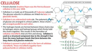 CELLULOSE
• French chemist Anselme Payen was the first to discover
cellulose in the year 1838.
• Cellulose is a made up of thousands of D-glucose subunits.
The glucose subunits in cellulose are linked via beta 1-4
glycosidic bonds.
• Cellulose is an unbranched molecule. The polymeric chains
of glucose are arranged in a linear pattern. these chains
are arranged parallel to each other.
• The hydrogen bonds are formed between these chains due
to hydrogen atoms and hydroxyl groups which firmly hold
the chains together. This results in the formation of
cellulose microfibrils that are firm and strong. Cellulose is
used as a structural component due to the strength it has
from the many hydrogen bonds that form between the
long chains of β-glucose molecules
• Cellulose is present in plant cells in the form of cellulose
microfibrils. These microfibrils together form
polysaccharide or cellulose matrix.
 
