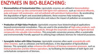 ENZYMES IN BIO-BLEACHING:
• Bioremediation of Contaminated Sites: Ligninolytic enzymes are utilized in bioremediation
processes to clean up sites contaminated with lignin-rich substances, such as industrial effluents,
pulp and paper mill wastewater, and soil polluted with petroleum hydrocarbons. By accelerating
the degradation of lignin and associated pollutants, these enzymes help restoring the
environmental health of contaminated sites and reduce the impact of pollution on ecosystems.
• Production of High-Value Products: Ligninolytic enzymes have biotechnological applications
beyond environmental remediation. They are used in the production of high-value products, such
as biofuels, chemicals, and pharmaceuticals, through the enzymatic conversion of lignin-derived
compounds into valuable intermediates. This enzymatic conversion process offers a sustainable
and environmentally friendly approach to utilizing lingo-cellulosic biomass for industrial purposes.
• Synergistic Action with Other Enzymes: Ligninolytic enzymes often work synergistically with
other enzymes, such as cellulases and hemicellulases, in the degradation of lignocellulosic
biomass. This synergistic action enhances the efficiency of biomass conversion processes, such as
biofuel production and bio-refinery operations, by facilitating the breakdown of both lignin and
carbohydrate components of biomass.
 