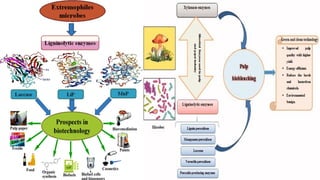Biology for enginers vtu - MODULE 2.pptx