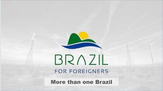 More than one Brazil 
 