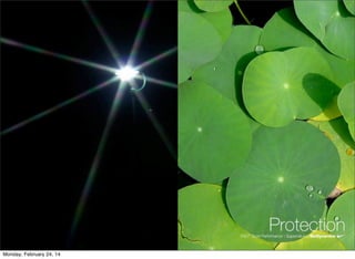 Monday, February 24, 14
 