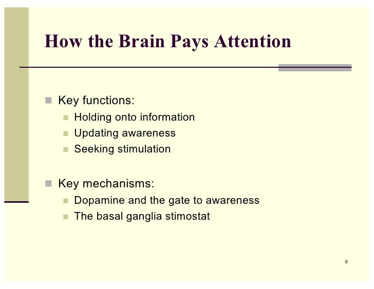 thebrain 9 keygen thebrain 9 keygen