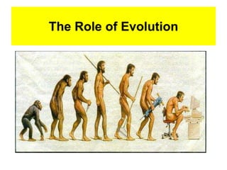 The Role of Evolution
 