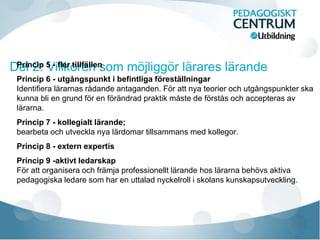 Princip 5 - fler tillfällen
Princip 6 - utgångspunkt i befintliga föreställningar
Identifiera lärarnas rådande antaganden. För att nya teorier och utgångspunkter ska
kunna bli en grund för en förändrad praktik måste de förstås och accepteras av
lärarna.
Princip 7 - kollegialt lärande;
bearbeta och utveckla nya lärdomar tillsammans med kollegor.
Princip 8 - extern expertis
Princip 9 -aktivt ledarskap
För att organisera och främja professionellt lärande hos lärarna behövs aktiva
pedagogiska ledare som har en uttalad nyckelroll i skolans kunskapsutveckling.
 