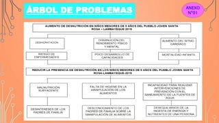 ÁRBOL DE PROBLEMAS ANEXO
Nº01
 