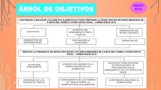ÁRBOL DE OBJETIVOS
ANEXO
Nº02
 