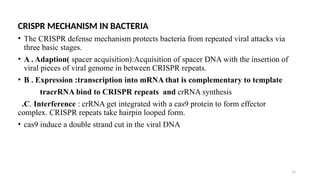 11
CRISPR MECHANISM IN BACTERIA
• The CRISPR defense mechanism protects bacteria from repeated viral attacks via
three basic stages.
• A . Adaption( spacer acquisition):Acquisition of spacer DNA with the insertion of
viral pieces of viral genome in between CRISPR repeats.
• B . Expression :transcription into mRNA that is complementary to template
tracrRNA bind to CRISPR repeats and crRNA synthesis
.C. Interference : crRNA get integrated with a cas9 protein to form effector
complex. CRISPR repeats take hairpin looped form.
• cas9 induce a double strand cut in the viral DNA
 