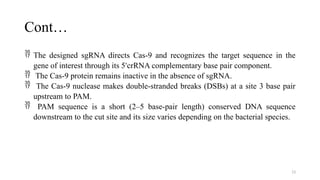 13
Cont…
 The designed sgRNA directs Cas-9 and recognizes the target sequence in the
gene of interest through its 5 crRNA complementary base pair component.
ʹ
 The Cas-9 protein remains inactive in the absence of sgRNA.
 The Cas-9 nuclease makes double-stranded breaks (DSBs) at a site 3 base pair
upstream to PAM.
 PAM sequence is a short (2–5 base-pair length) conserved DNA sequence
downstream to the cut site and its size varies depending on the bacterial species.
 