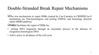 16
Double-Stranded Break Repair Mechanisms
The two mechanisms to repair DSBs created by Cas-9 protein in CRISPR/Cas-9
mechanism are Non-homologous end joining (NHEJ), and homology directed
repair (HDR) pathway.
NHEJ facilitates the repair of DSBs by:
• joining DNA fragments through an enzymatic process in the absence of
exogenous homologous DNA
• And is active in all phases of the cell cycle.
 