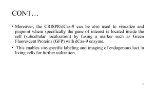 28
CONT…
• Moreover, the CRISPR/dCas-9 can be also used to visualize and
pinpoint where specifically the gene of interest is located inside the
cell (subcellular localization) by fusing a marker such as Green
Fluorescent Proteins (GFP) with dCas-9 enzyme.
• This enables site-specific labeling and imaging of endogenous loci in
living cells for further utilization.
 