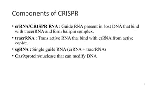 7
Components of CRISPR
• crRNA/CRISPR RNA : Guide RNA present in host DNA that bind
with tracerRNA and form hairpin complex.
• tracrRNA : Trans active RNA that bind with crRNA from active
coplex.
• sgRNA : Single guide RNA (crRNA + tracrRNA)
• Cas9:protein/nuclease that can modify DNA
 