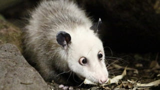 BFMT FACHTAG 2023 16
 