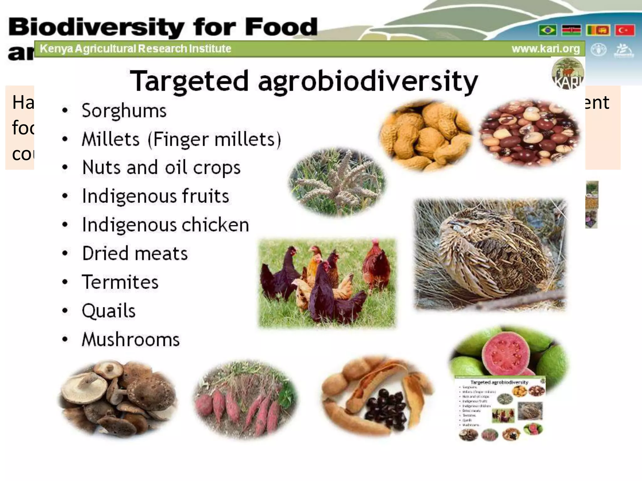 Harness traditional foods to broaden the food basket, create resilient
food systems and provide livelihood options in the four partner
countries
Sub-Saharan Africa
Food System
 