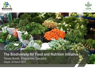 The Biodiversity for Food and Nutrition Initiative
Teresa Borelli, Programme Specialist
Alaçati, 28 March 2015
 