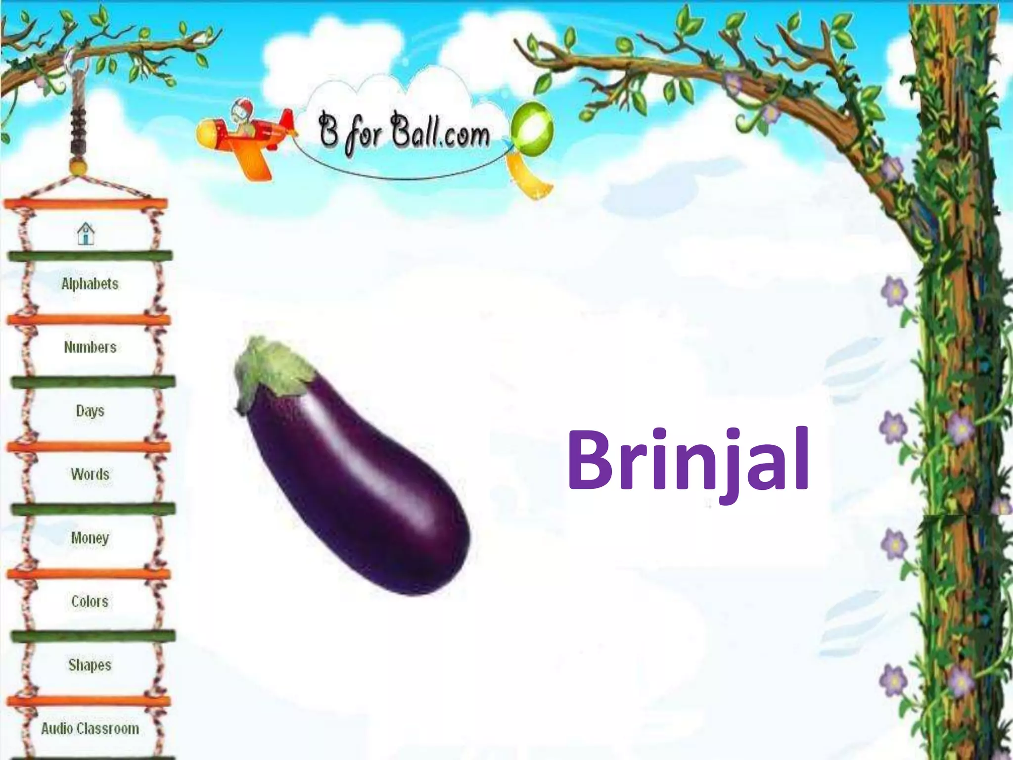Brinjal
 