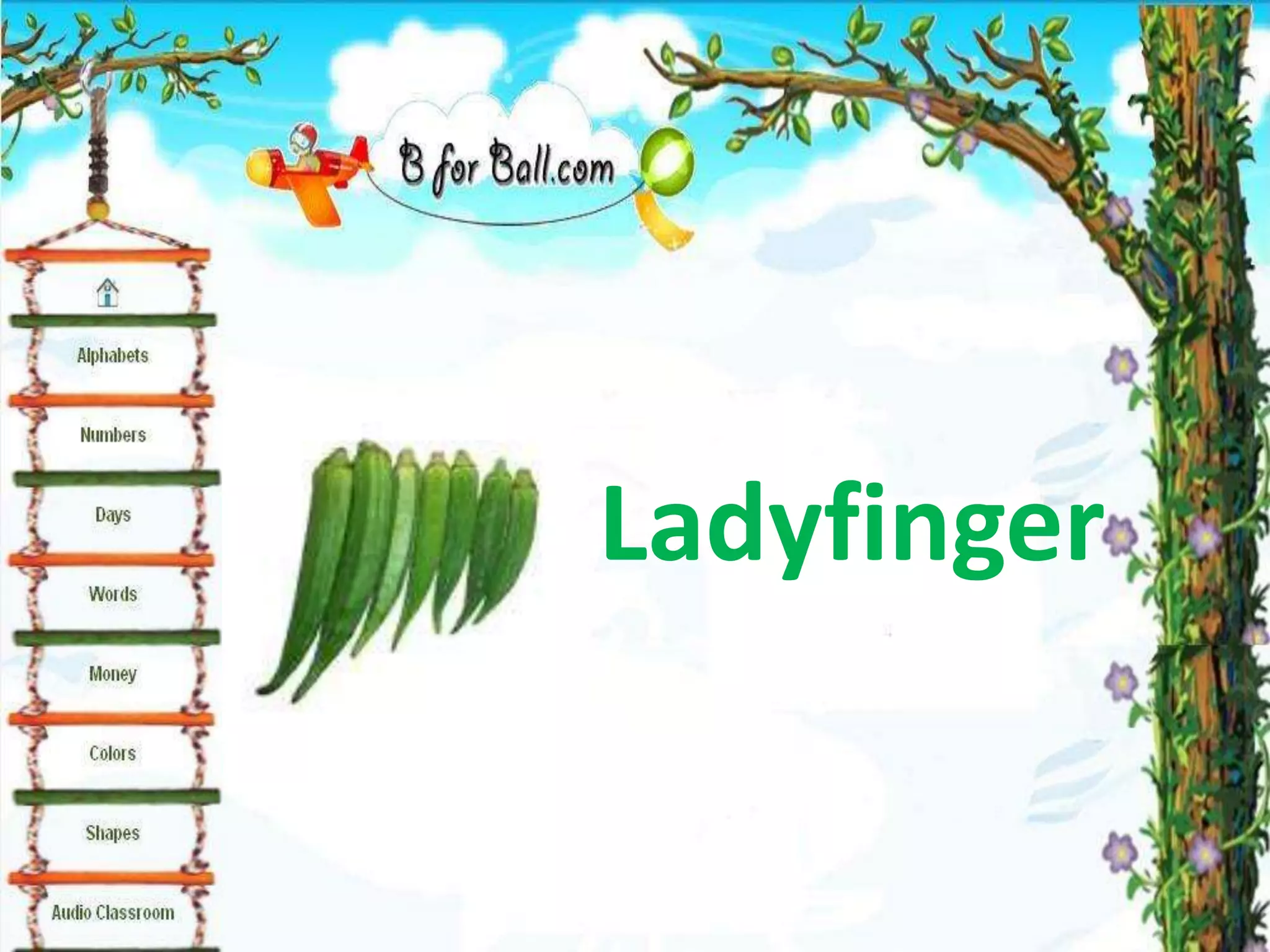 Ladyfinger
 