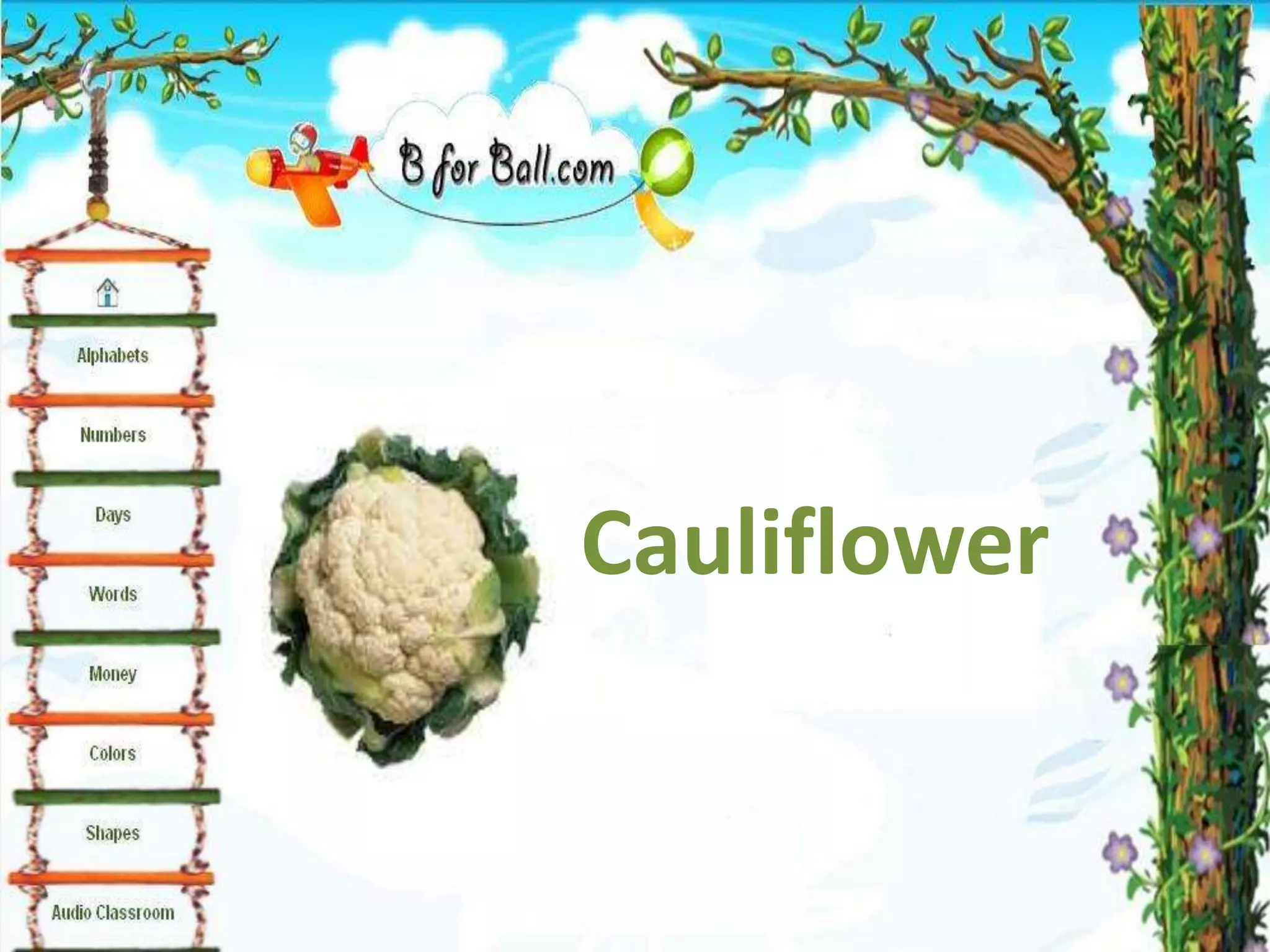 Cauliflower
 
