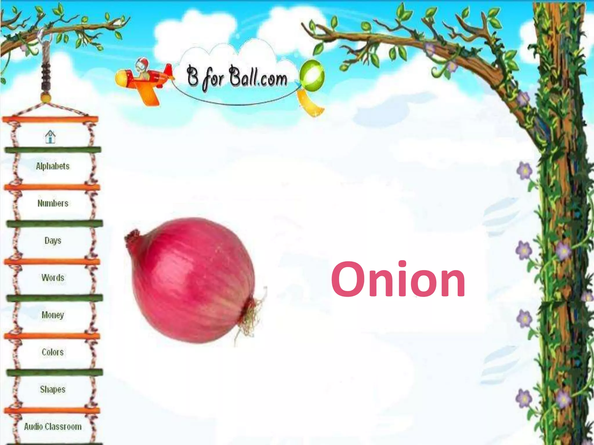 Onion
 