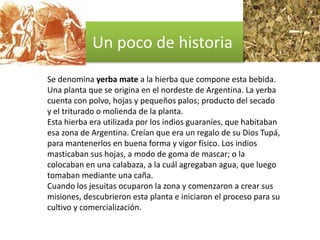 Un poco de historia
Se denomina yerba mate a la hierba que compone esta bebida.
Una planta que se origina en el nordeste de Argentina. La yerba
cuenta con polvo, hojas y pequeños palos; producto del secado
y el triturado o molienda de la planta.
Esta hierba era utilizada por los indios guaraníes, que habitaban
esa zona de Argentina. Creían que era un regalo de su Dios Tupá,
para mantenerlos en buena forma y vigor físico. Los indios
masticaban sus hojas, a modo de goma de mascar; o la
colocaban en una calabaza, a la cuál agregaban agua, que luego
tomaban mediante una caña.
Cuando los jesuitas ocuparon la zona y comenzaron a crear sus
misiones, descubrieron esta planta e iniciaron el proceso para su
cultivo y comercialización.
 