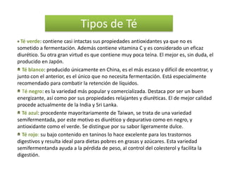 Tipos de Té
  Té verde: contiene casi intactas sus propiedades antioxidantes ya que no es
sometido a fermentación. Además contiene vitamina C y es considerado un eficaz
diurético. Su otra gran virtud es que contiene muy poca teína. El mejor es, sin duda, el
producido en Japón.
   Té blanco: producido únicamente en China, es el más escaso y difícil de encontrar, y
junto con el anterior, es el único que no necesita fermentación. Está especialmente
recomendado para combatir la retención de líquidos.
   Té negro: es la variedad más popular y comercializada. Destaca por ser un buen
energizante, así como por sus propiedades relajantes y diuréticas. El de mejor calidad
procede actualmente de la India y Sri Lanka.
   Té azul: procedente mayoritariamente de Taiwan, se trata de una variedad
semifermentada, por este motivo es diurético y depurativo como en negro, y
antioxidante como el verde. Se distingue por su sabor ligeramente dulce.
   Té rojo: su bajo contenido en taninos lo hace excelente para los trastornos
digestivos y resulta ideal para dietas pobres en grasas y azúcares. Esta variedad
semifermentanda ayuda a la pérdida de peso, al control del colesterol y facilita la
digestión.
 