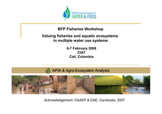 BFP Fisheries Workshop
Valuing fisheries and aquatic ecosystems
      in multiple water use systems

             6-7 February 2008
                     CIAT
               Cali, Colombia



            Agro-
     APIA & Agro-Ecosystem Analysis




 Acknowledgement: CAAEP & DAE, Cambodia, 2007
 