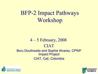 BFP-2 Impact Pathways
        Workshop


        4 – 5 February, 2008
                CIAT
Boru Douthwaite and Sophie Alvarez, CPWF
              Impact Project
          CIAT, Cali, Colombia
 