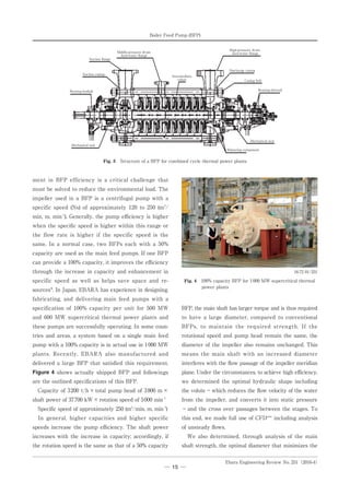 Bfp aspetcs | PDF