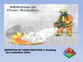 Beureu of Fire Protection Basics PowerPoint presentation | PPTX
