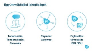 Tanácsadás,
Tendereztetés,
Tervezés
Payment
Gateway
Fejlesztési
támogatás
BIG FISH
Együttműködési lehetőségek
 