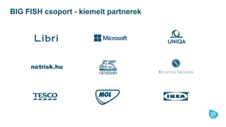 BIG FISH csoport - kiemelt partnerek
 