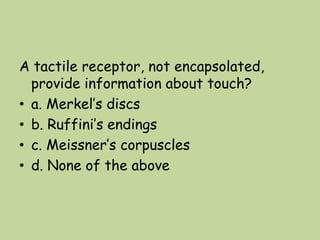 A tactile receptor, not encapsolated,
provide information about touch?
• a. Merkel’s discs
• b. Ruffini’s endings
• c. Meissner’s corpuscles
• d. None of the above
 