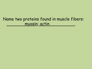 Name two proteins found in muscle fibers:
____________ ______________.myosin; actin
 