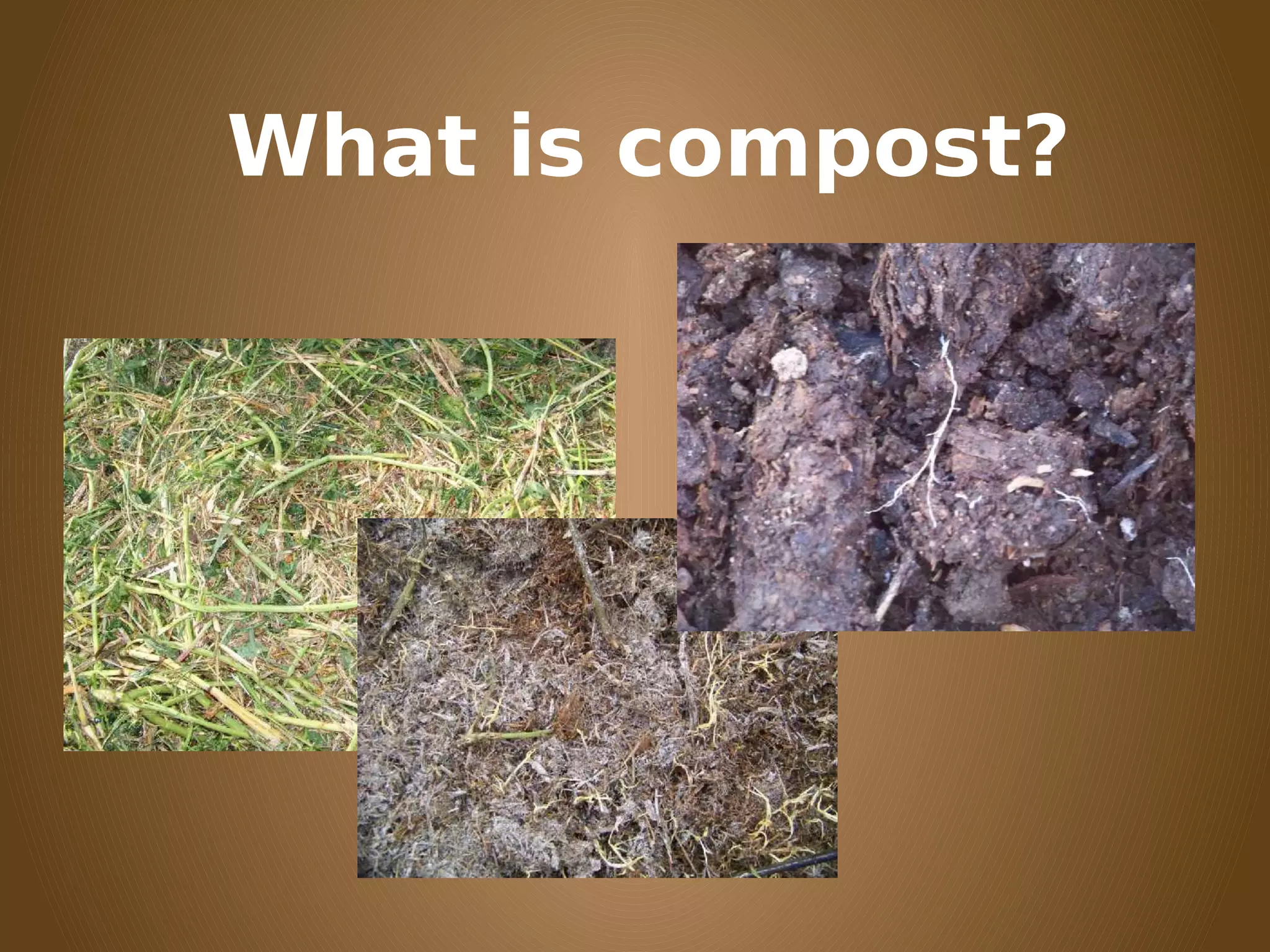 What is compost?
 