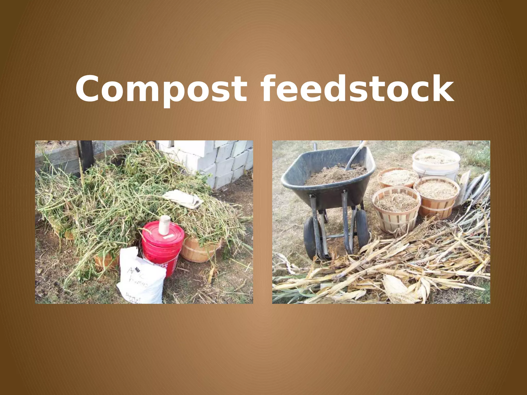 Compost feedstock
 