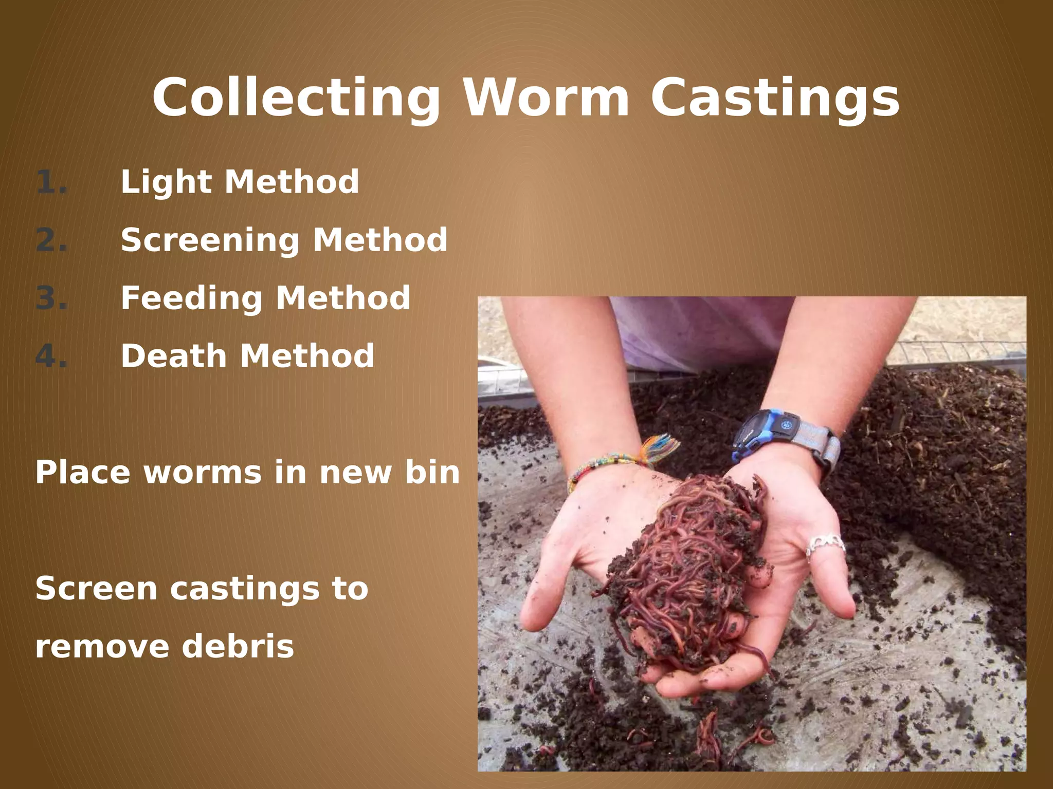 Collecting Worm Castings
1. Light Method
2. Screening Method
3. Feeding Method
4. Death Method
Place worms in new bin
Screen castings to
remove debris
 