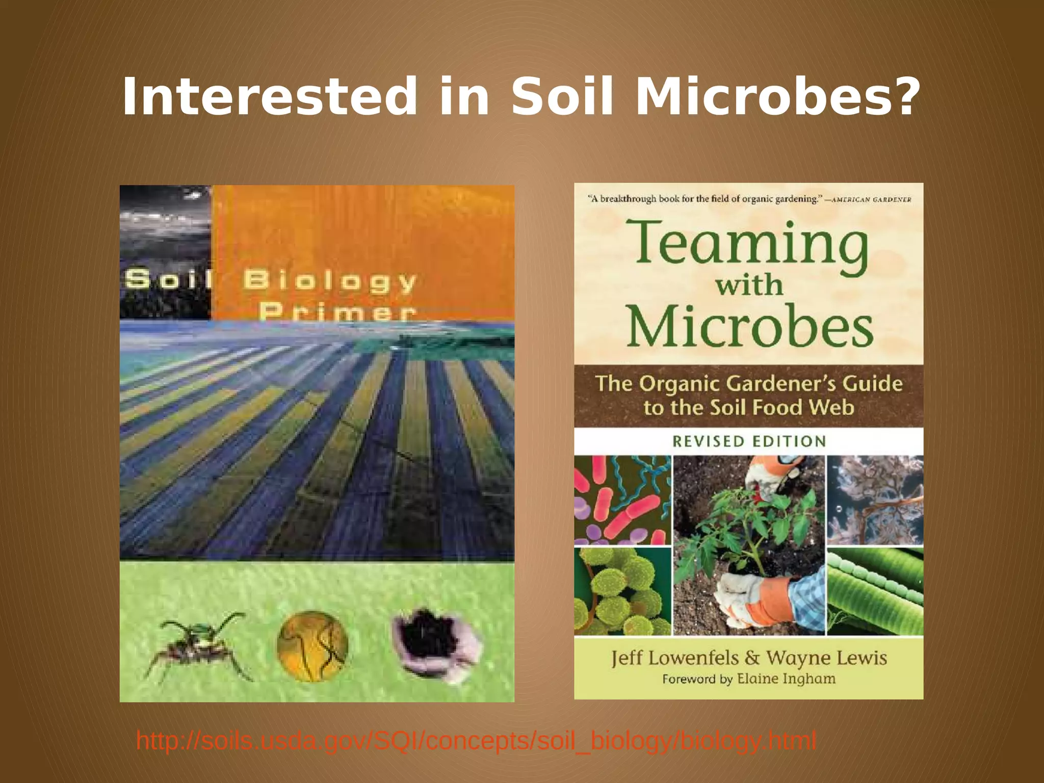 Interested in Soil Microbes?
http://soils.usda.gov/SQI/concepts/soil_biology/biology.html
 
