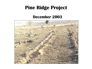 Pine Ridge Project
December 2003
 