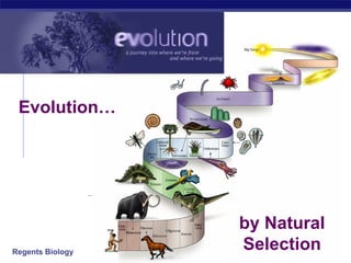 2006-2007 by Natural Selection Evolution… 