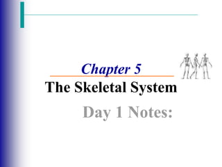 Chapter 5
The Skeletal System
Day 1 Notes:
 