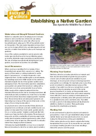 Establishing a Native Garden
                                                                  Backyards for Wildlife Fact Sheet


Water wise and Drought Tolerant Gardens
Water is a valuable and increasingly scarce natural
resource and one that we all need to use wisely.
Before water restrictions came into effect some
households were using up to 70% of household water
on the garden. The new water regulations mean that
we can no longer afford to be as extravagant and we
need to consider how better to plan and manage our
gardens.
One of the options available to us is to grow locally
native species that have for many millennia grown
across the Adelaide region surviving on rainfall alone.
The use of indigenous plants will drought-proof your
garden, save water and attract local wildlife.
                                                             Establishing a native garden helps create habitat for wildlife and it can
Local Provenance                                             also play a role in making our city more sustainable in terms of local
                                                             amenity and reduced water use.
When you buy a seedling from a nursery, it has
invariably been grown from a seed or a cutting. The          Planning Your Garden
source of that seed or cutting is referred to as the
                                                             First find a list of local native plants for our suburb and
plant’s ‘provenance’, or where its genetic code
                                                             then decide what kinds of garden(s) you want to
originated from. Golden wattles grew across Australia
                                                             create. Lots of native plants are sensitive to poor
but seedlings sourced in NSW would not be suited to
                                                             drainage, so locate good and poor drainage spots to
Adelaide despite the fact that golden wattles were
                                                             your garden accordingly. For example, place your frog
widespread here. The best native plants to establish in
                                                             pond or wetland in naturally damper areas of the
your garden are grown from seeds or cutting with a
                                                             garden. If you wish to achieve a natural look, avoid
provenance as close as reasonable to your home.
                                                             planting in rows by growing several of the same
While nearly all the original bushland from the              species together in a clump, as this generally looks
Adelaide Plains has been lost to development there still     better, has greater habitat value and makes watering
exist small pockets, sometimes no more than a handful        more efficient. Create a variety of mini-habitats, for
of specimens that retain that original genetic material.     example plan a shrubby area with groundcovers next
From these remnants local native plant growers can           to a grassland area and a wetland area. If possible
help bring back many of the species that were on the         include a patch of densely planted prickly shrubs for
edge of becoming locally extinct.                            wildlife to shelter in or under. This is particularly
Local provenance also means that these plants are            important for small birds and lizards.
adapted to local climate and soil conditions and can
survive on less water than most exotic garden plants.        Planting Out
Once a ‘native garden’ implied a wild bush like form         It is recommended to plant in autumn and winter to
made up of species from other states. Those days are         give plants a chance to get established using natural
long gone and the availability of numerous specialist        rainfall. Water your new plants about once a week
native plant nurseries enables gardeners to select from      during the first summer as they get established.
a wide array of local species, often specific to suburbs
                                                             Often native plants can be slow to adjust after being
rather than simply southern Australia.
                                                             transplanted from a pot. To increase the success and
Visit www.backyards4wildlife.com.au to access plant          encourage healthy growth of your new seedlings
lists and download a list of local native plant nurseries.   follow the advice over the page.
 